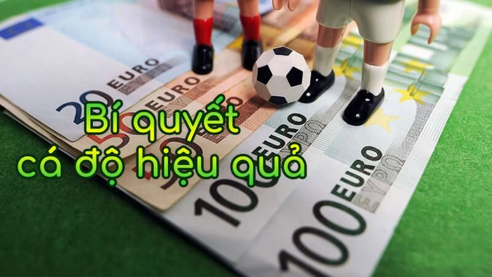 Nắm rõ kinh nghiệm giúp tỷ lệ cá độ bóng đá thắng cao hơn