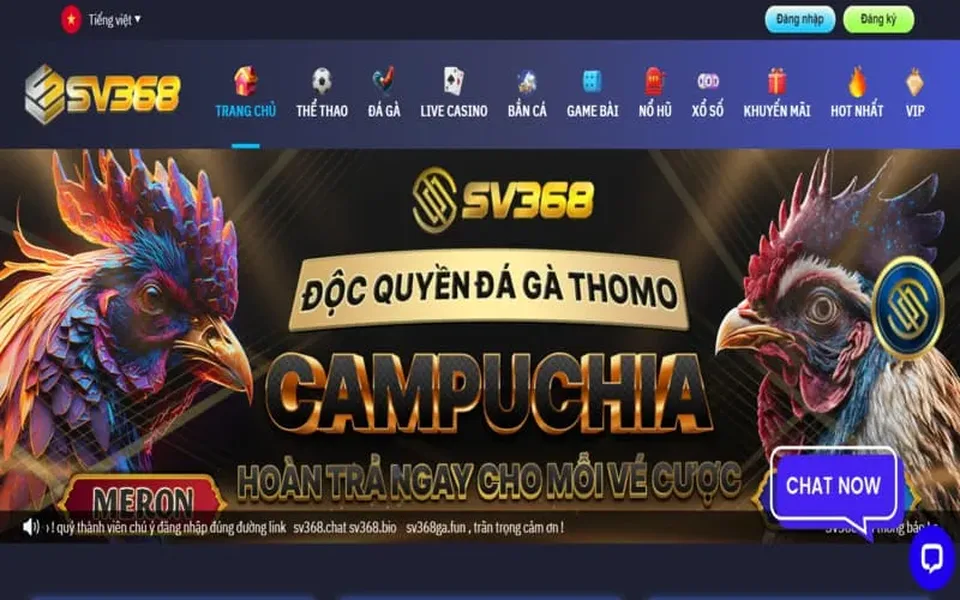 SV368 phù hợp với người chơi chuyên cược thể thao